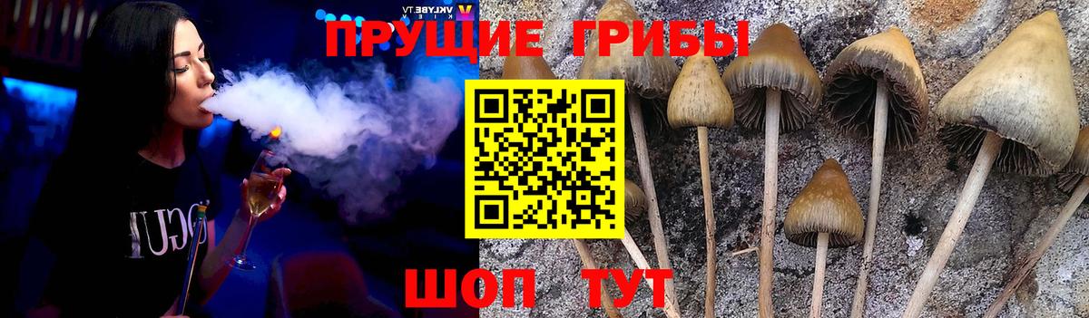 Псилоцибиновые грибы GOLDEN TEACHER  Вход с VPN  закладка  Воронеж 